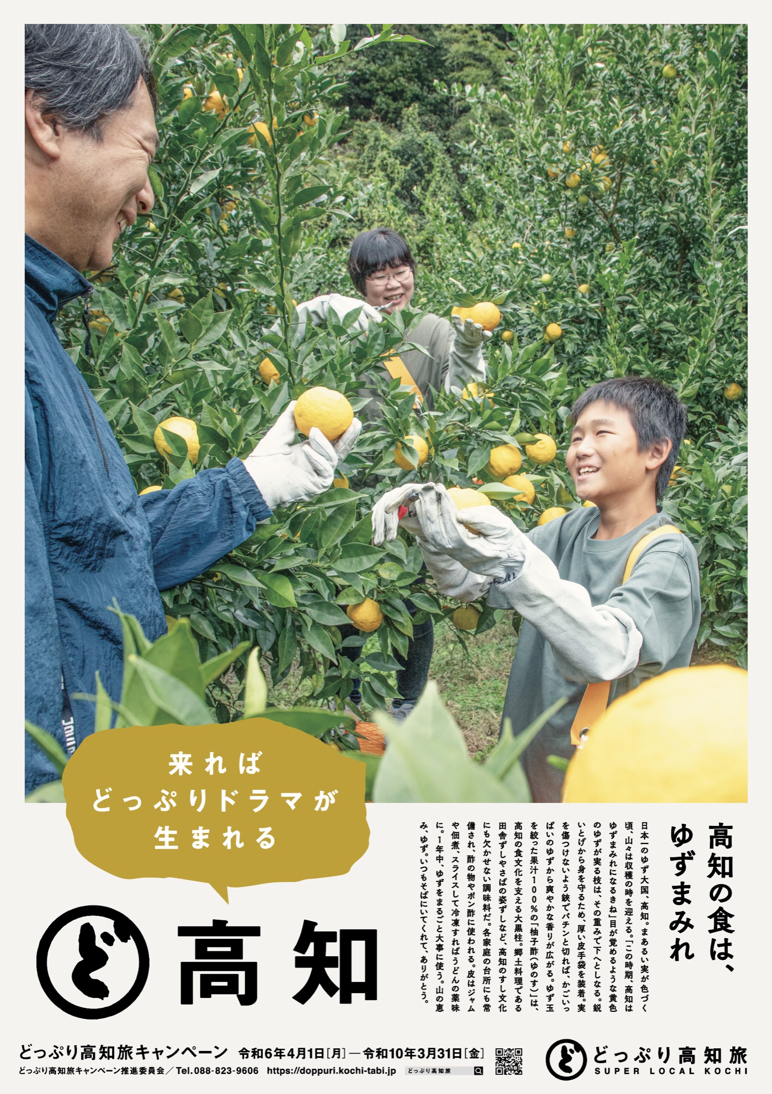 2026年 記事広告「ゆず」